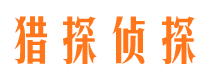 和布克赛尔市私家侦探